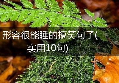 形容很能睡的搞笑句子(实用10句)