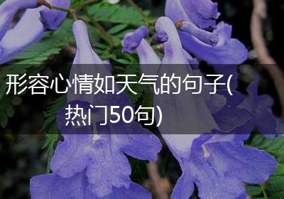 形容心情如天气的句子(热门50句)