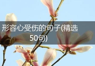 形容心受伤的句子(精选50句)