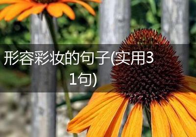 形容彩妆的句子(实用31句)