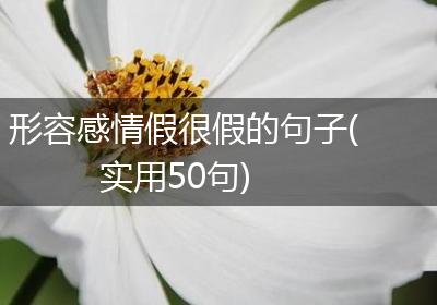 形容感情假很假的句子(实用50句)