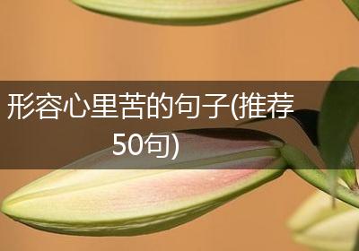 形容心里苦的句子(推荐50句)