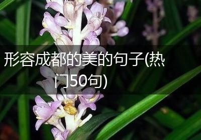 形容成都的美的句子(热门50句)