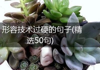 形容技术过硬的句子(精选50句)