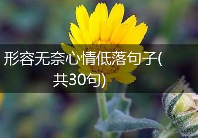 形容无奈心情低落句子(共30句)