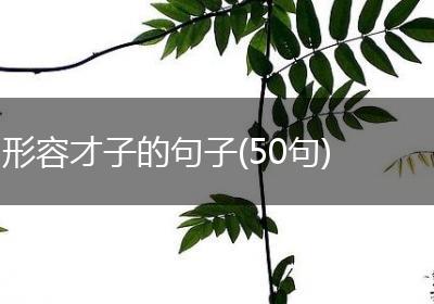 形容才子的句子(50句)