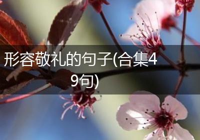 形容敬礼的句子(合集49句)
