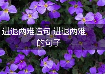 进退两难造句 进退两难的句子