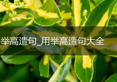 举高造句_用举高造句大全