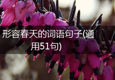 形容春天的词语句子(通用51句)