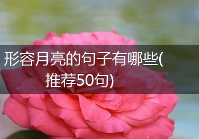 形容月亮的句子有哪些(推荐50句)