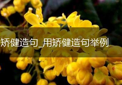 矫健造句_用矫健造句举例