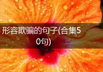 形容欺骗的句子(合集50句)