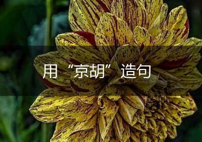 用“京胡”造句
