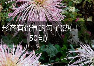 形容有骨气的句子(热门50句)