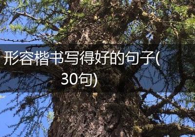 形容楷书写得好的句子(30句)