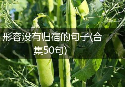 形容没有归宿的句子(合集50句)