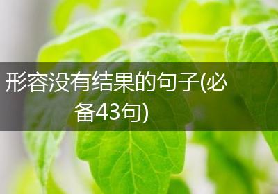 形容没有结果的句子(必备43句)
