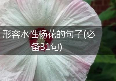 形容水性杨花的句子(必备31句)