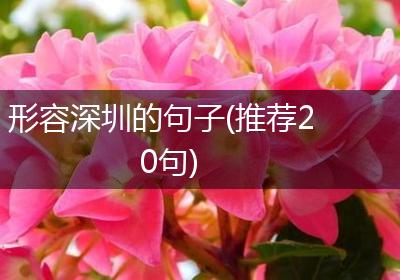 形容深圳的句子(推荐20句)
