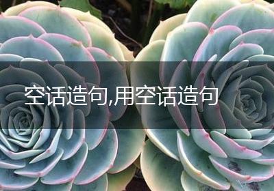 空话造句,用空话造句
