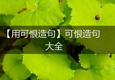 【用可恨造句】可恨造句大全