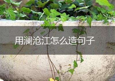 用澜沧江怎么造句子
