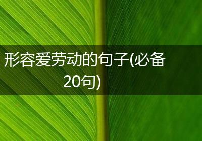 形容爱劳动的句子(必备20句)