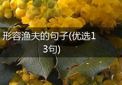 形容渔夫的句子(优选13句)