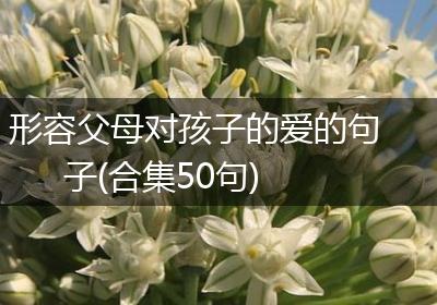 形容父母对孩子的爱的句子(合集50句)