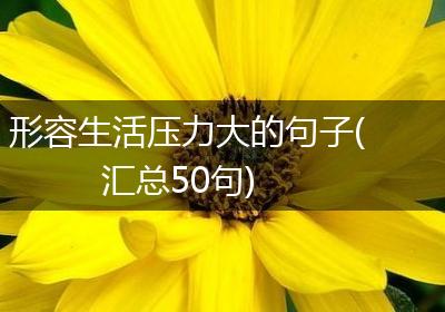 形容生活压力大的句子(汇总50句)