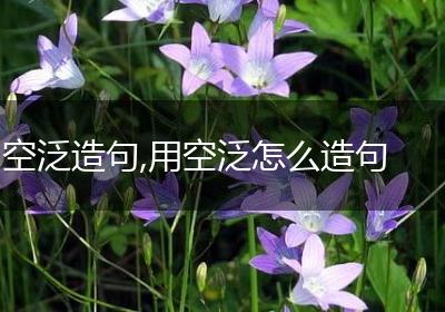 空泛造句,用空泛怎么造句
