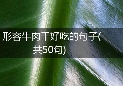 形容牛肉干好吃的句子(共50句)