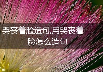 哭丧着脸造句,用哭丧着脸怎么造句