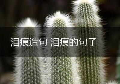 泪痕造句 泪痕的句子