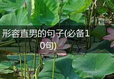 形容直男的句子(必备10句)