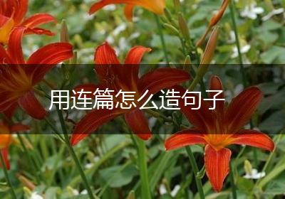 用连篇怎么造句子