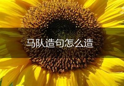 马队造句怎么造