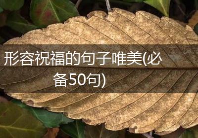 形容祝福的句子唯美(必备50句)