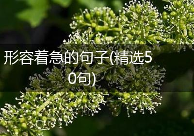 形容着急的句子(精选50句)
