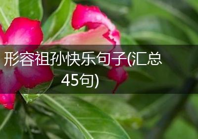形容祖孙快乐句子(汇总45句)