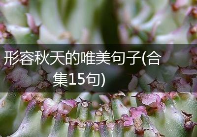 形容秋天的唯美句子(合集15句)