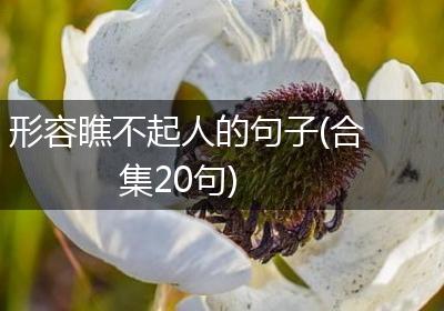 形容瞧不起人的句子(合集20句)