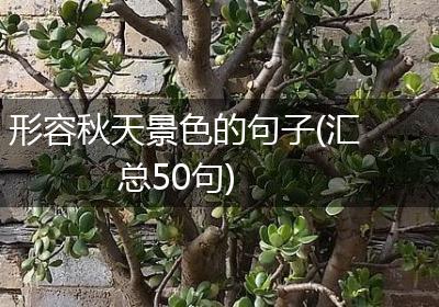 形容秋天景色的句子(汇总50句)