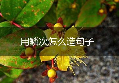用鳞次怎么造句子
