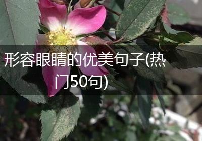 形容眼睛的优美句子(热门50句)