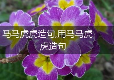 马马虎虎造句,用马马虎虎造句