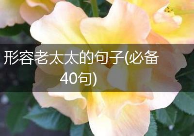 形容老太太的句子(必备40句)