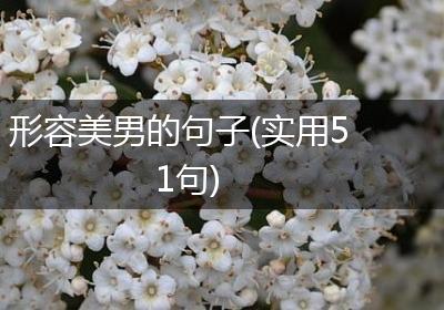 形容美男的句子(实用51句)