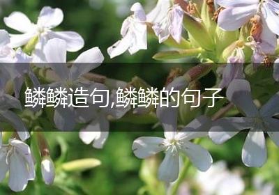 鳞鳞造句,鳞鳞的句子